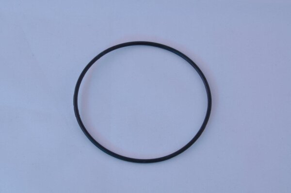 Steinbach Dichtring für Vorfilter Pumpe SP 75/100 (40930)