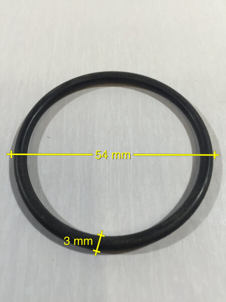 O-Ring Ø 54 x 3 mm Ersatzteil für SPS Pumpe